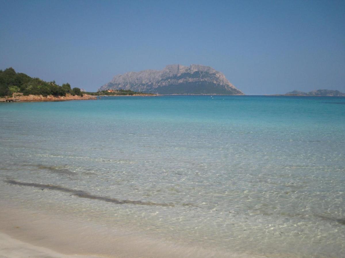Porto Istana Beach House 奧爾比亞 外观 照片