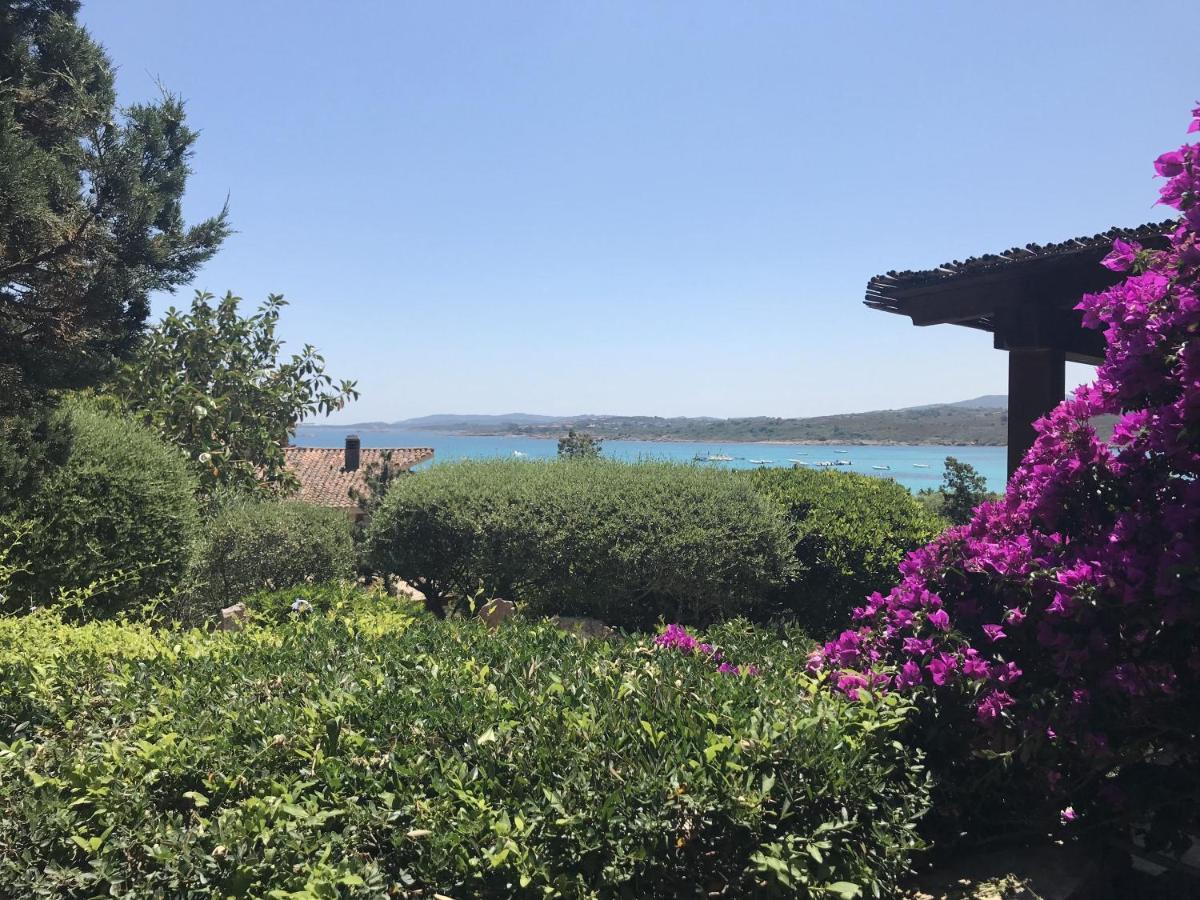 Porto Istana Beach House 奧爾比亞 外观 照片